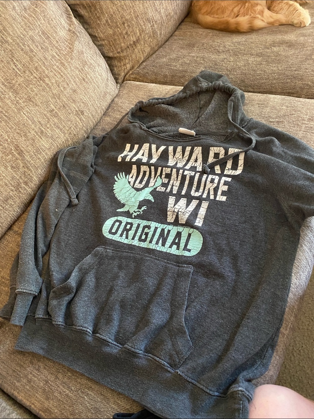 Exist Charcoal Gray Hoodie Sweater with Mint Graphic